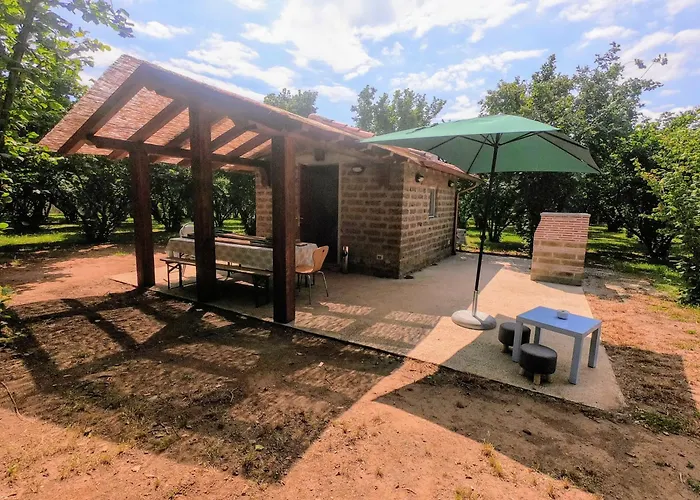 Podere Vasella - Junior Sx